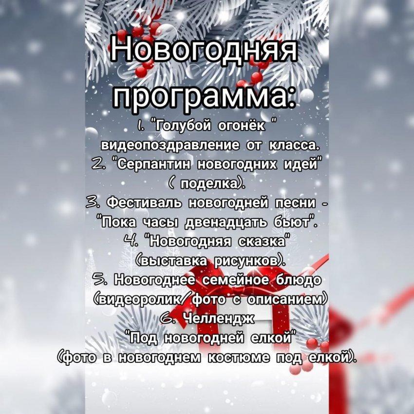 Новогодняя Программа