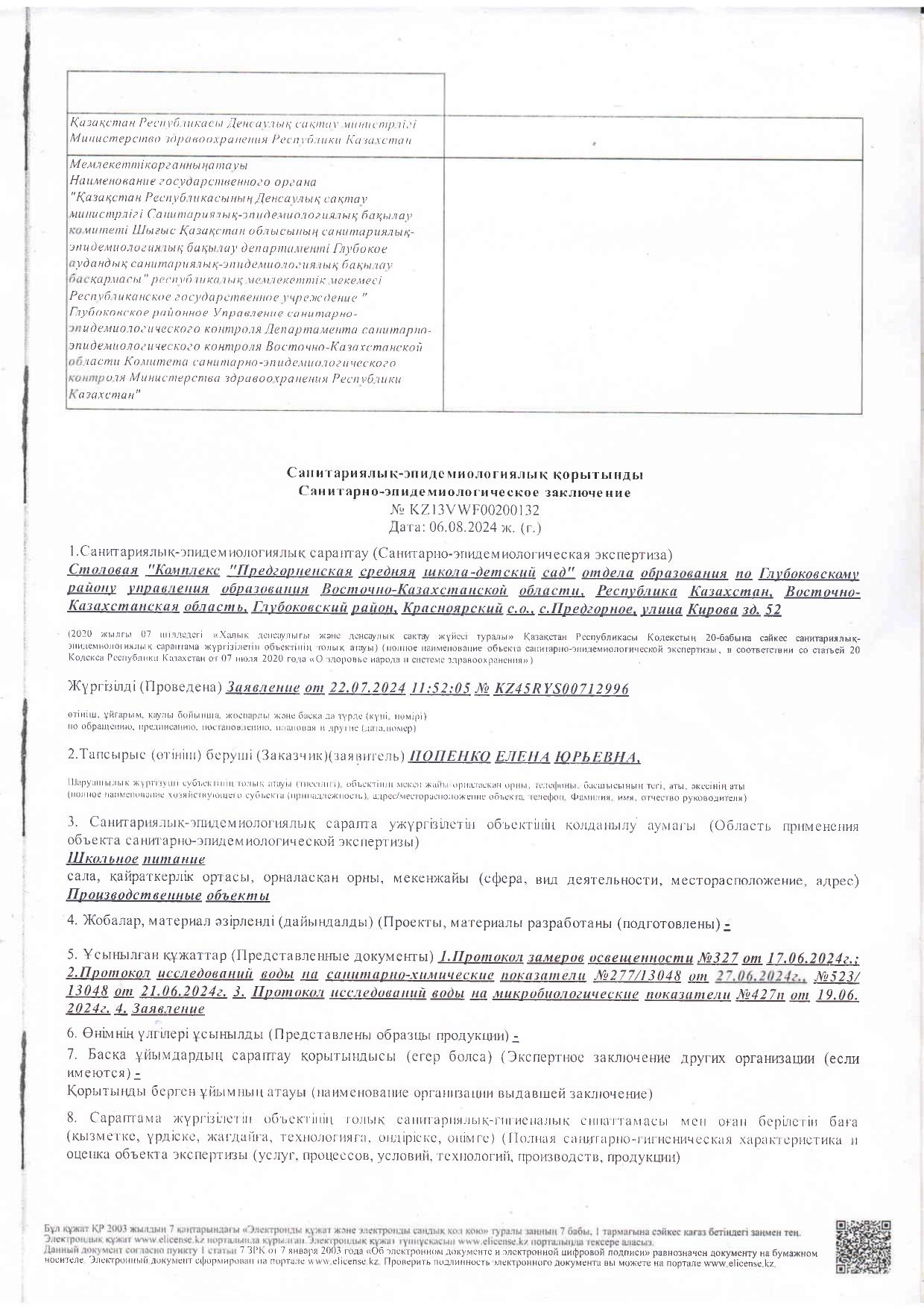 Заключение СЭС